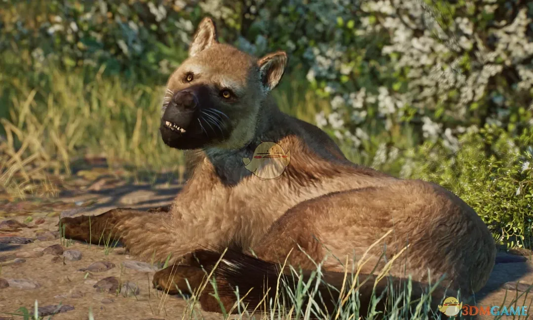 《动物园之星》新物种阿米特之犬MOD