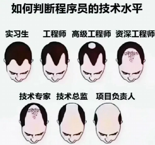 难道说女装才是程序员的底层逻辑？【365娱乐资讯网】