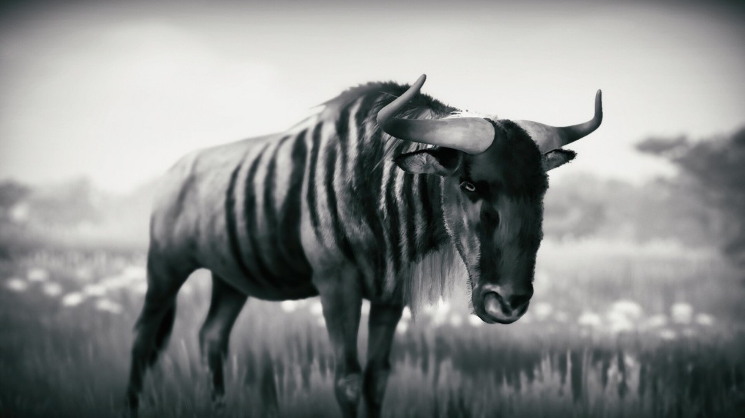 《幽居之境》官方版