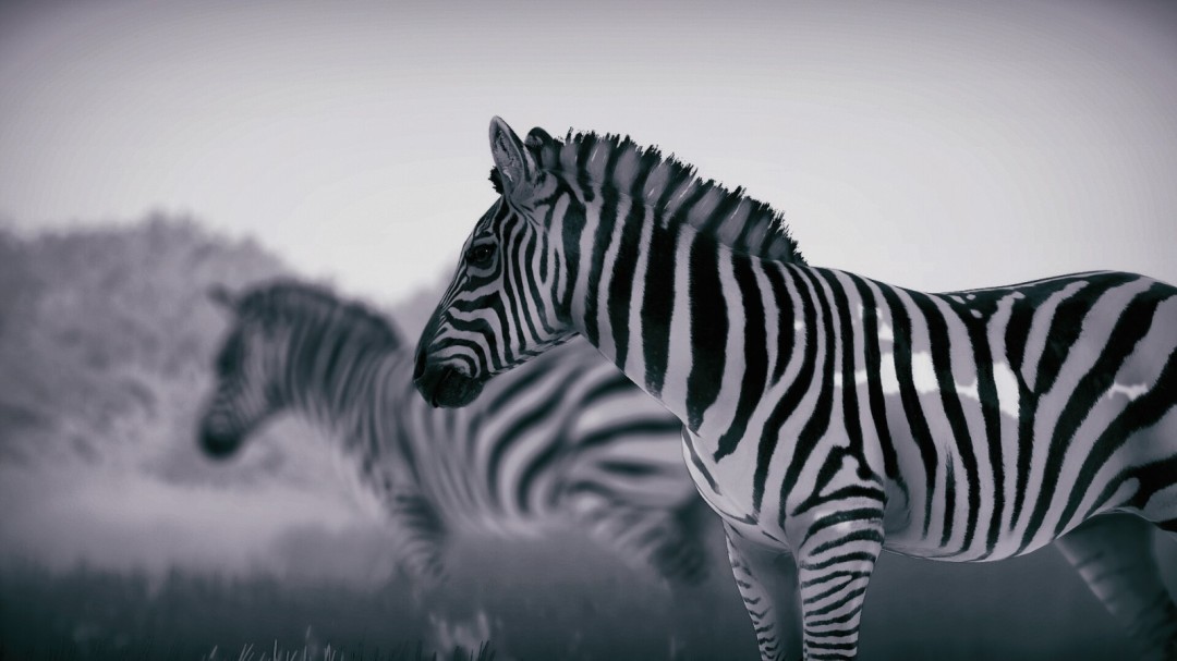 《幽居之境》官方版