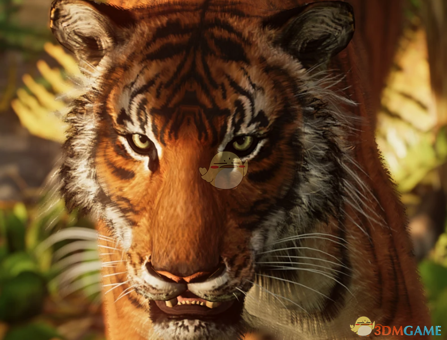 《动物园之星》新物种马来虎MOD
