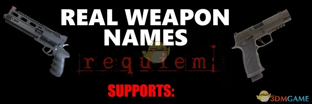 《生化危机9：安魂曲》真实武器名称MOD