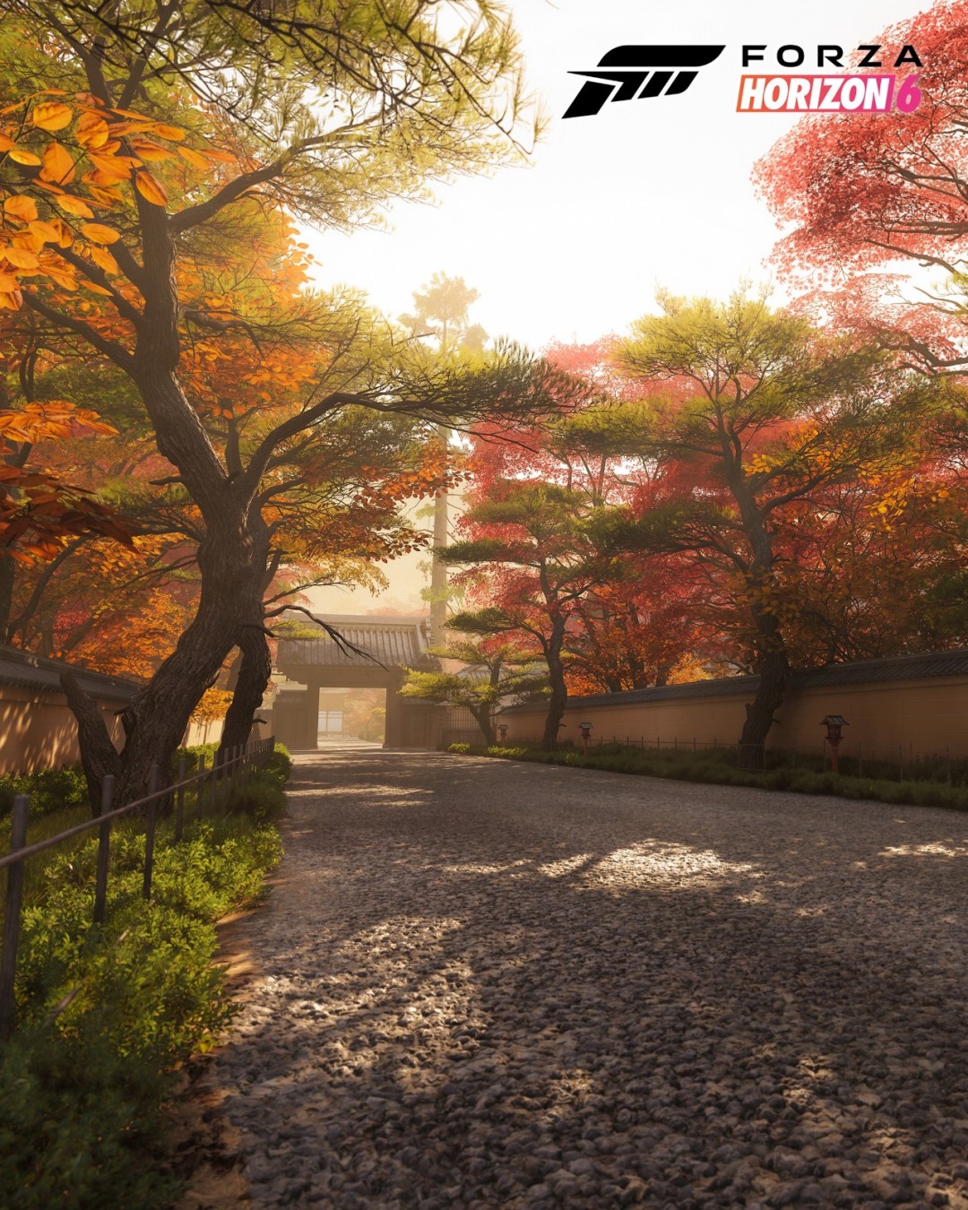 �����޾��٣���ƽ��6���½�ͼ���� չʾ�ձ��ļ�����