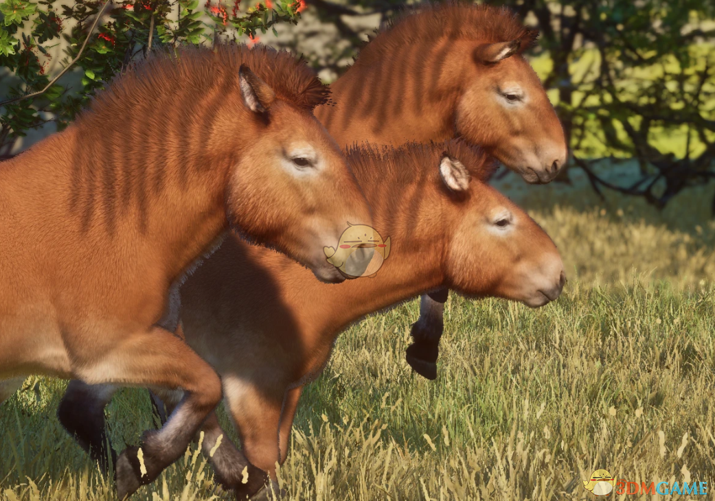《动物园之星》新物种南美马MOD