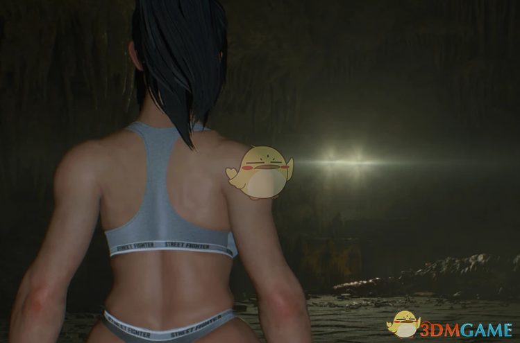 《生化危机4：重制版》性感运动背心火舞替换艾达MOD