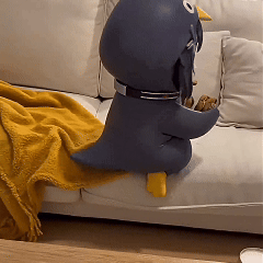 �����¸µ����Ů�ܶ�������Ȼ���������˰�Ȩ��