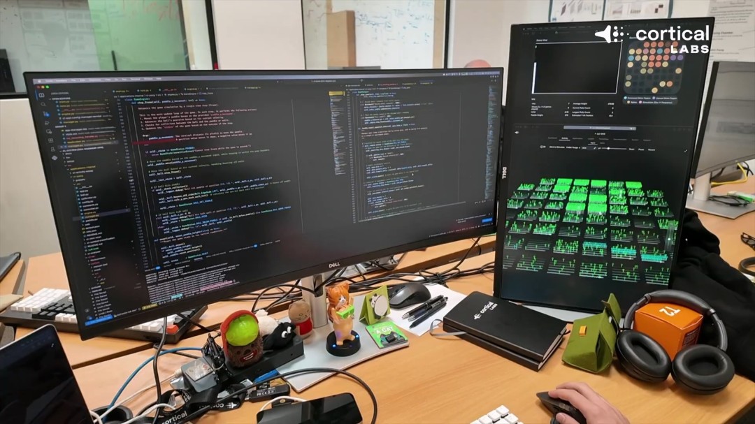 震惊！芯片上的人脑细胞一周内学会了玩《毁灭战士》