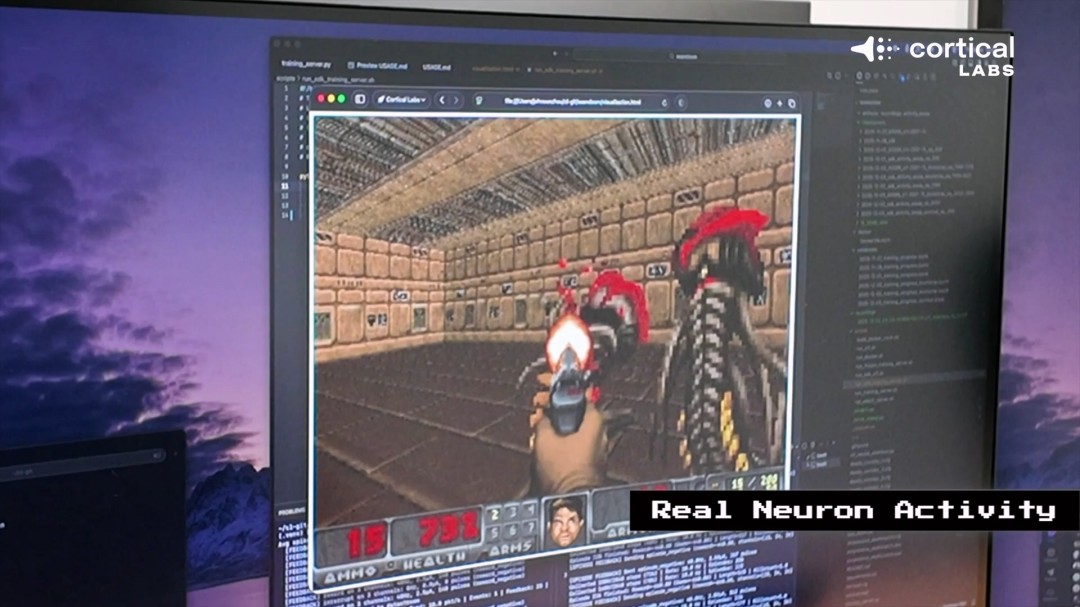 震惊！芯片上的人脑细胞一周内学会了玩《毁灭战士》