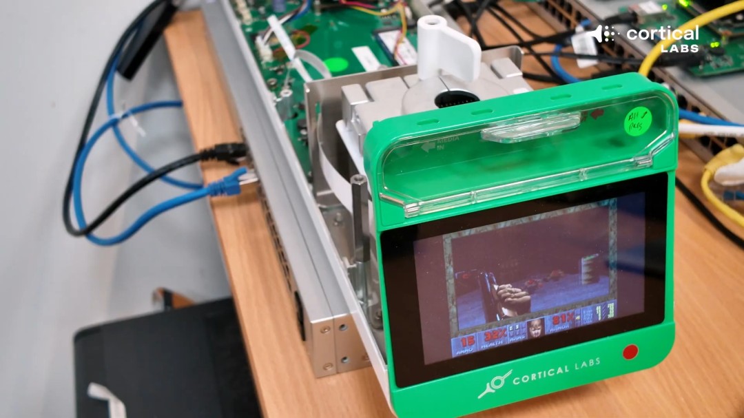 震惊！芯片上的人脑细胞一周内学会了玩《毁灭战士》