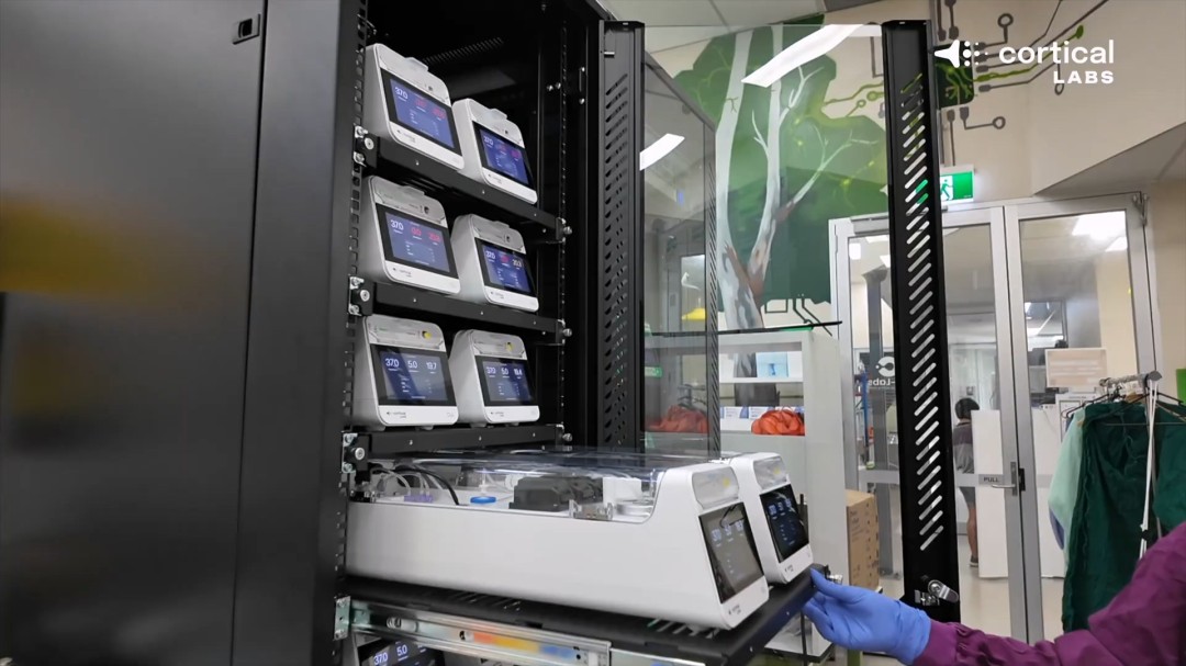 震惊！芯片上的人脑细胞一周内学会了玩《毁灭战士》