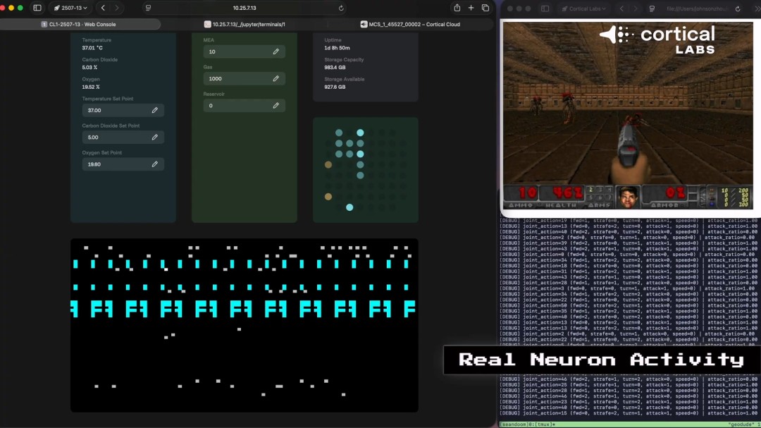 震惊！芯片上的人脑细胞一周内学会了玩《毁灭战士》