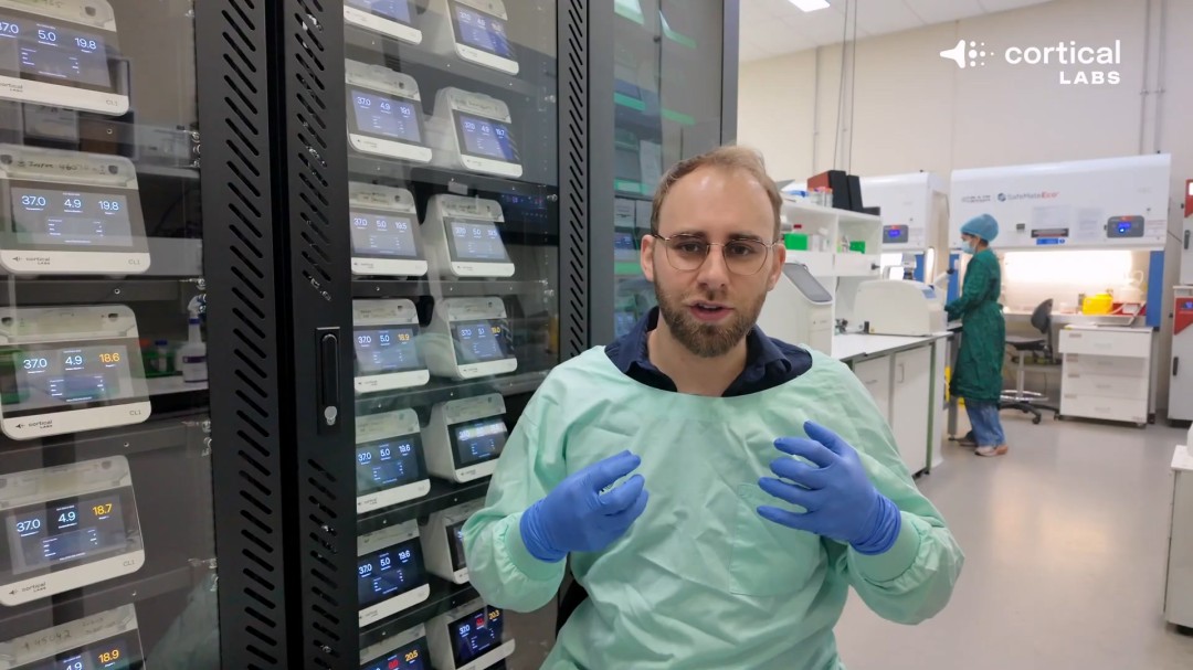 震惊！芯片上的人脑细胞一周内学会了玩《毁灭战士》