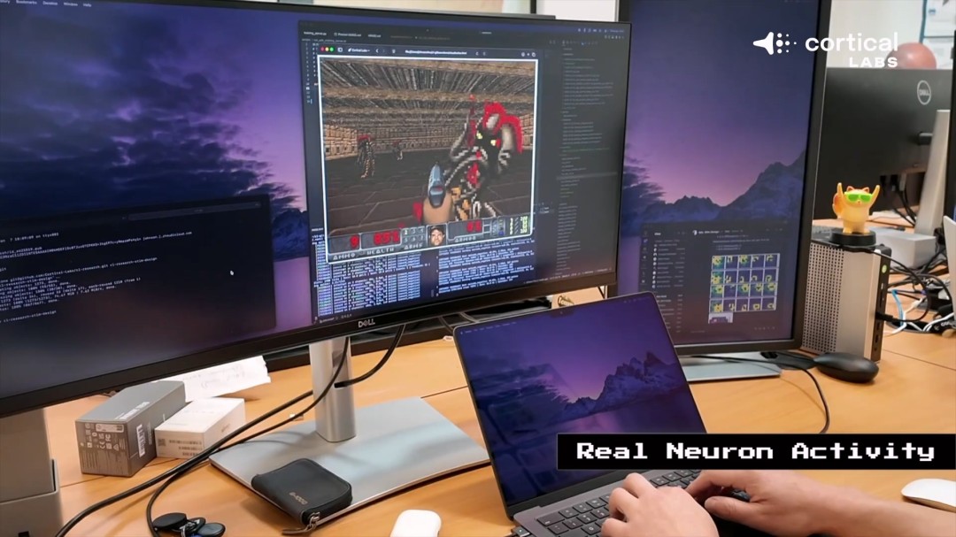 震惊！芯片上的人脑细胞一周内学会了玩《毁灭战士》