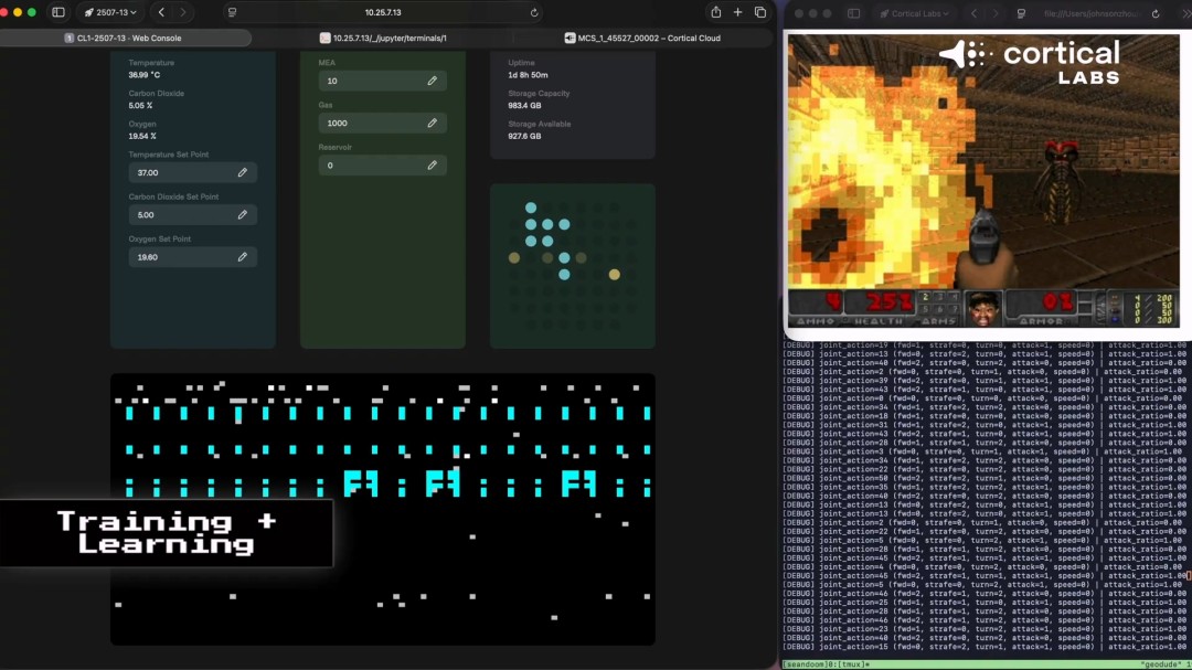 震惊！芯片上的人脑细胞一周内学会了玩《毁灭战士》