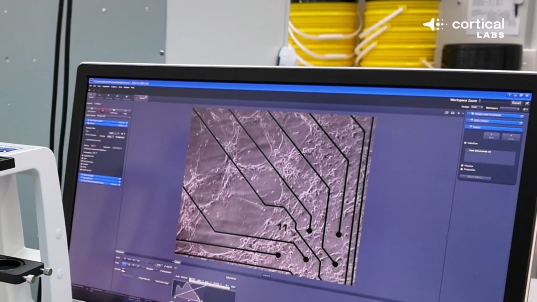 震惊！芯片上的人脑细胞一周内学会了玩《毁灭战士》