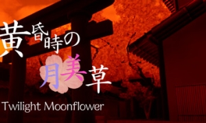 《黄昏时的月美草》官方版