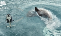 《巨齿鲨》国内上映三天破3.4亿 杰森李冰冰“鲨”出重围