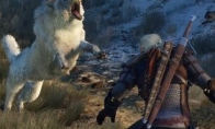 "Witcher 3" producer interview optimization is moving, no need to worry about PS4 image quality