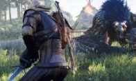 Strive for the flawless "Witcher 3: Crazy Hunt" developer revealed the cause of the vote