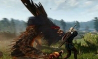 "Witcher 3" is particularly optimized for Nvidia graphics cards to optimize the effect of no sea flying wire