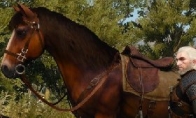 "Witcher 3" screenshot ShirWorks and HBAO+Technology