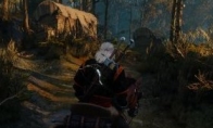 "Witcher 3: Crazy Hunt" has a large number of changes in the combat system