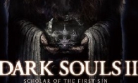 The official blocked "Dark Soul 2" folk patch is to patch the way for yourself