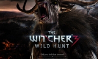 "Witcher 3" Gameworks special effects argument that A cards cannot be used directly