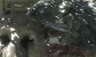 Jumping again will make a joke. Will the E3 "Last Guardian" appear this year?