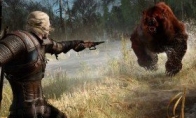 "Witcher 3: Crazy Hunt" host archive inheritance problem PC version does not have this problem