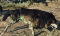 AMD criticized NV Gameworks "Destroy" "Witcher 3" A card performance