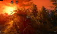 Why is there a problem in the vegetation system of "Witcher 3: Crazy Hunt"