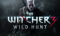 "Witcher 3: Crazy Hunt" Extreme Drawing Graphics Test GTX 980 also kneeling