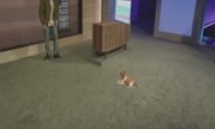 Microsoft's application for "HOLOPET" trademark is expected to develop virtual pet -related products