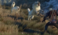 Xbox One "Witcher 3: Crazy Hunt" 1.03 patch online locks 30 frames