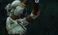 Add MOD special effects sighing as "Witcher 3: Crazy Hunt" high -resolution beauty map