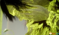 Black Technology appears!Skewell's latest DX12 technology DEMO screenshot exposure