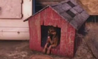 E3: "Radiation 4" In -depth custom system Introduction Dogs also have dog nests