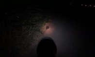 Slightly thriller!Japan's software push new horror game promotion video released