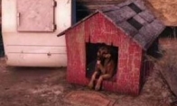 Create a shelter to transform into a simulation life!"Radiation 4" production system initial detection
