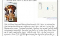 American men log in to advertise to send girlfriends: love to play games and do not love dogs to send away