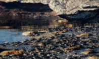 These are not photos!Unreal 4 engine latest rendering works reward