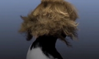 Nvidia HairWorks update a single block GTX980 simulation 500,000 hair