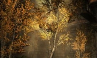 Do not lose the official quality!Player self -made "Elder Scrolls 5" new MOD demonstration