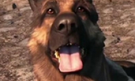The screen is poor, played as radiation 3?"Radiation 4" official response