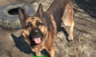 Screenshots of the highest quality picture quality of "Fallout 4" PC version leaked is this picture okay?