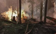 "Star Wars: Frontline" new video released to launch the Hete contract mode