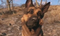 The most adorable Wang Xingren!"Radiation 4" "Dog Meat" won the Best Dog Award