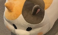 "Final Fantasy 14" Meng pet cat little fat and peanut plush toys pre -sale