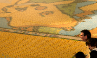 Speed ​​worship! The largest "Pokemon" collection in history appears to appear in Paris